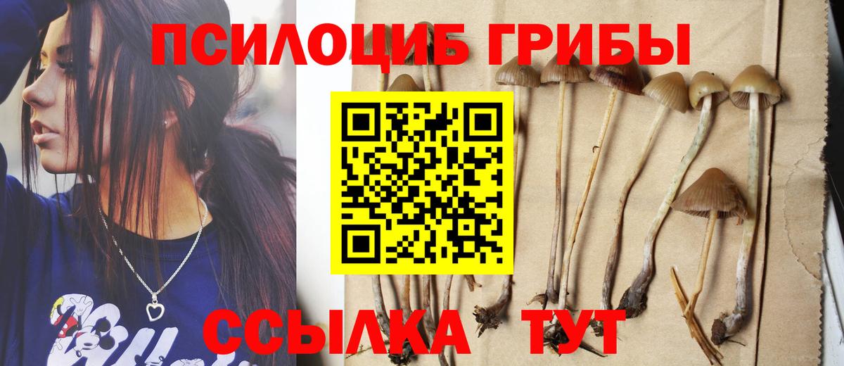 Кунгур  Псилоцибиновые грибы MAGIC MUSHROOMS  Галлюциногенные грибы мухоморы  Вход с VPN 